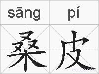 桑皮的拼音