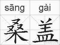 桑盖的拼音