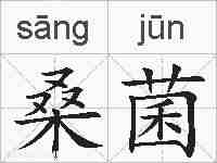 桑菌的拼音