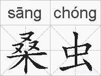 桑虫的拼音