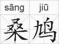 桑鸠的拼音