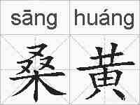 桑黄的拼音