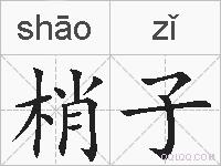 梢子的拼音