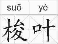 梭叶的拼音
