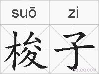 梭子的拼音