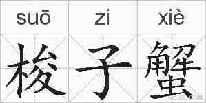 梭子蟹的拼音