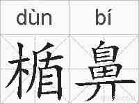 楯鼻的拼音