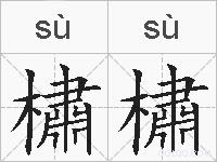 橚橚的拼音