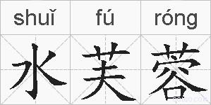 水芙蓉的拼音