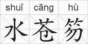 水苍笏的拼音