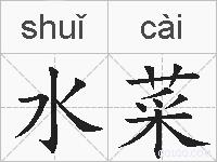 水菜的拼音