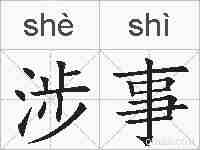 涉事的拼音