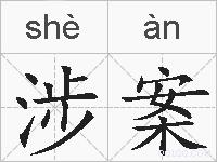 涉案的拼音