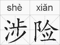 涉险的拼音
