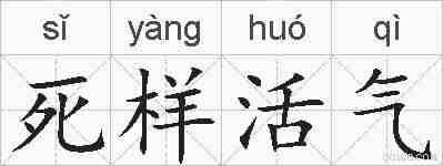 死样活气的拼音