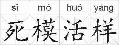死模活样的拼音