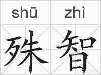 殊智的拼音