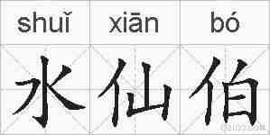 水仙伯的拼音