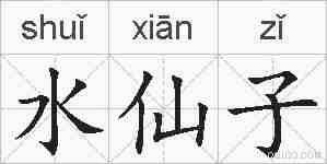 水仙子的拼音