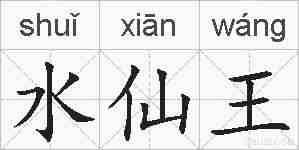 水仙王的拼音