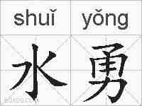 水勇的拼音