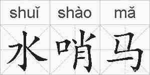 水哨马的拼音