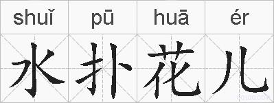 水扑花儿的拼音