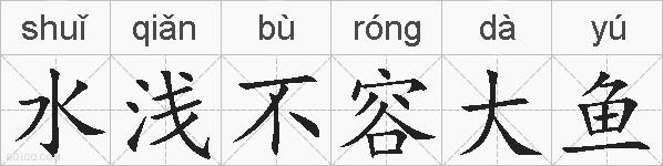 水浅不容大鱼的拼音