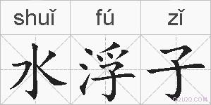 水浮子的拼音