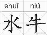 水牛的拼音
