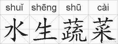 水生蔬菜的拼音