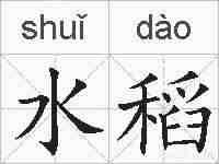 水稻的拼音