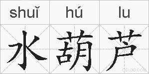 水葫芦的拼音