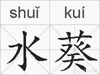 水葵的拼音