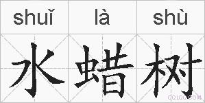 水蜡树的拼音