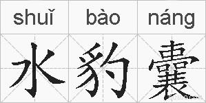 水豹囊的拼音