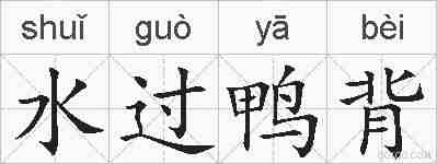 水过鸭背的拼音