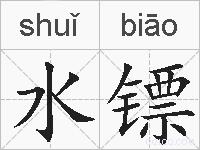 水镖的拼音