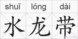 水龙带的拼音