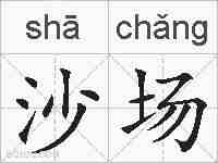 沙场的拼音