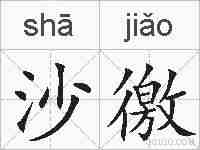 沙徼的拼音