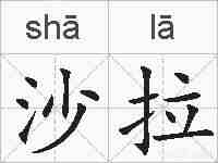沙拉的拼音