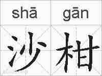 沙柑的拼音