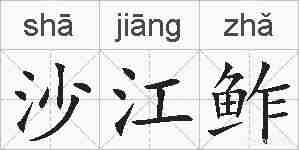 沙江鲊的拼音