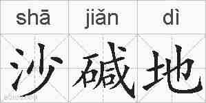 沙碱地的拼音