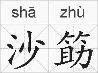 沙筯的拼音