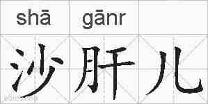 沙肝儿的拼音