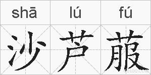 沙芦菔的拼音