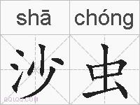 沙虫的拼音