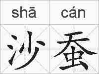 沙蚕的拼音